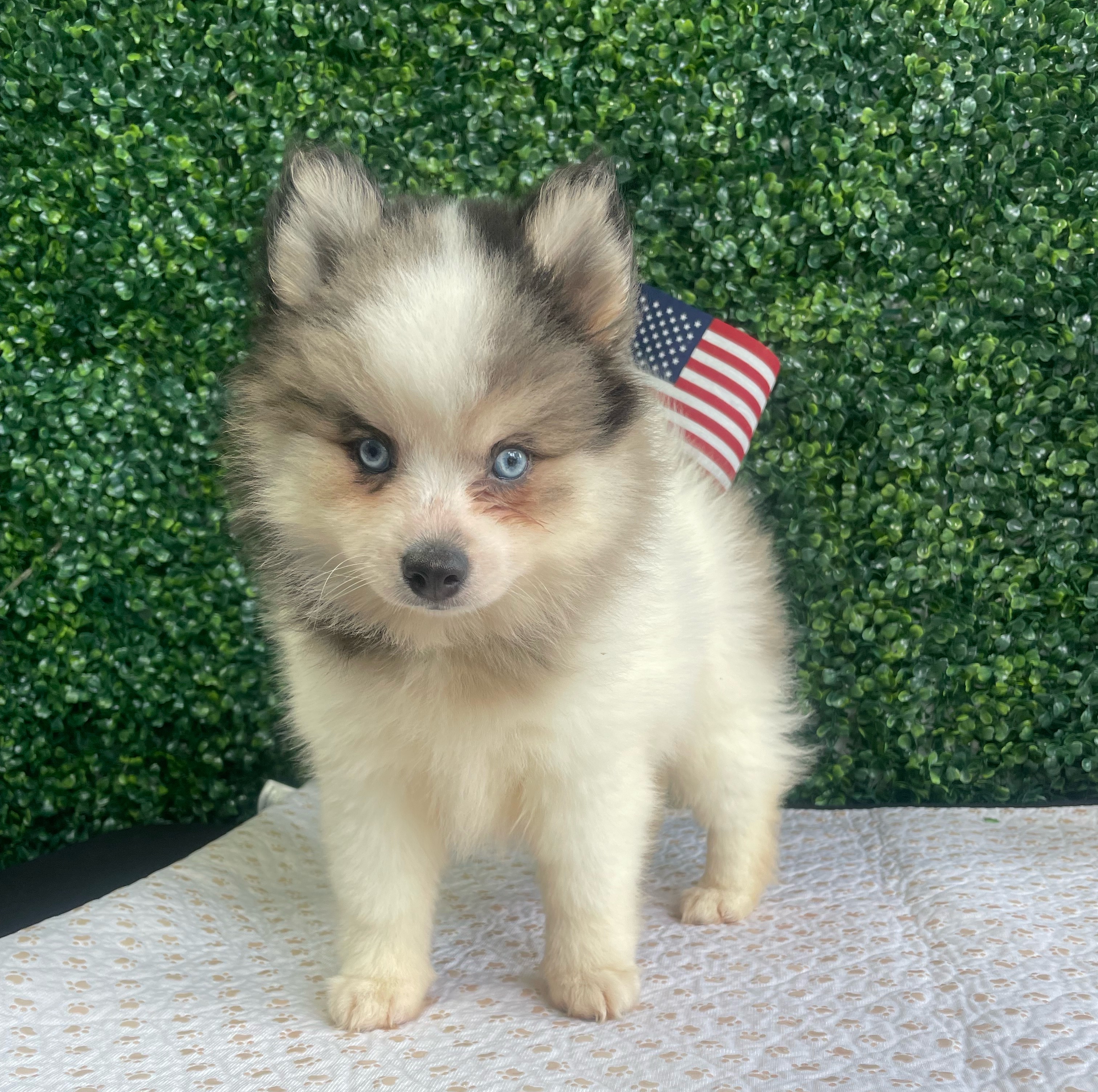 Juanita